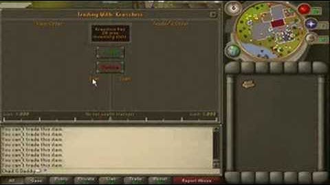 Rarest Item On RuneScape