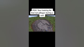 POV: your looking for the last pillager during raid