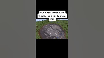POV: your looking for the last pillager during raid
