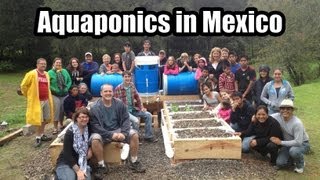 Aquaponics Build Mexico