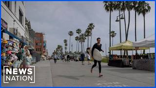 Private patrols of ex-gang members are helping clean up Venice Beach