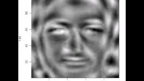 Principal Components of the Kaggle facial keypoints training dataset