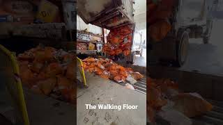 Trash Being Dumped At Transfer Station