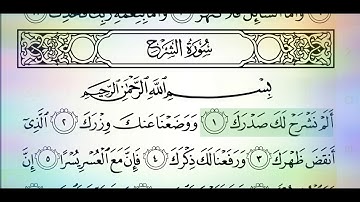 سورة الشرح الشيخ هاني الرفاعي