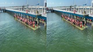 Kuba Cayo Santa Maria 2024, Interakce S Delfíny