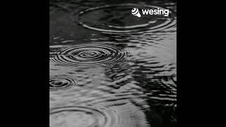 All I Wanna Do Is Mlty