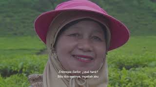 Mi Mamá, Pertiwi - Indonesian Tea Mothers | Poetic Documentary