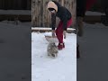 Путь