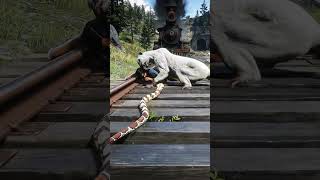 Train Approaches - Mountain Lion Attacks Man - Train Hits Everyone! RDR2 #shorts