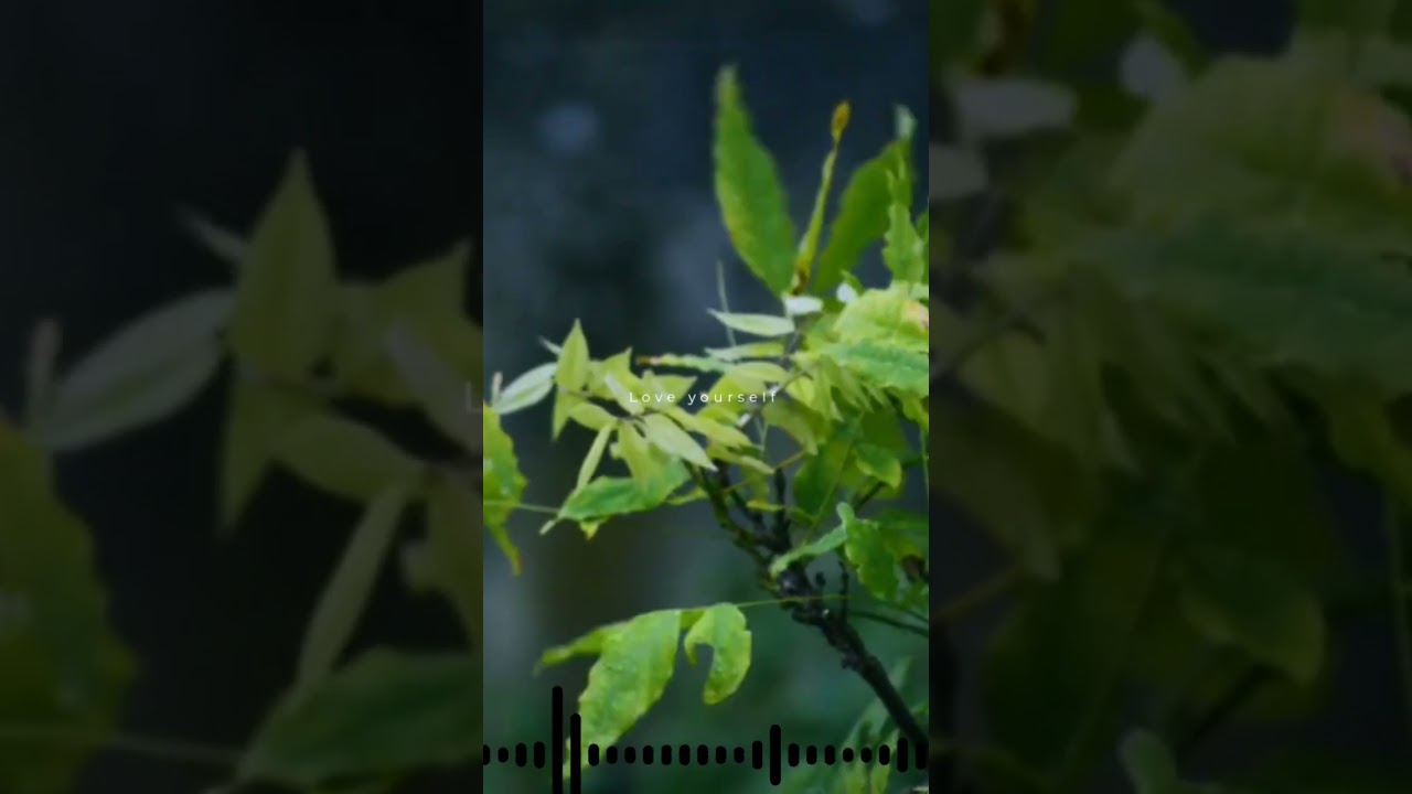 Hindi Song MP3 Shyam Bhi Khoob Hai - Hindi Status Tube