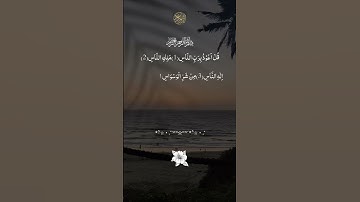 سورة الناس 🌿 للحفظ من وساوس الشيطان والشرور الخفية #سورة_الناس