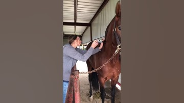 22343403-skill 42- IM INJ