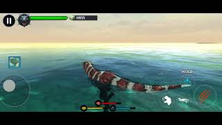 Carno and allo
