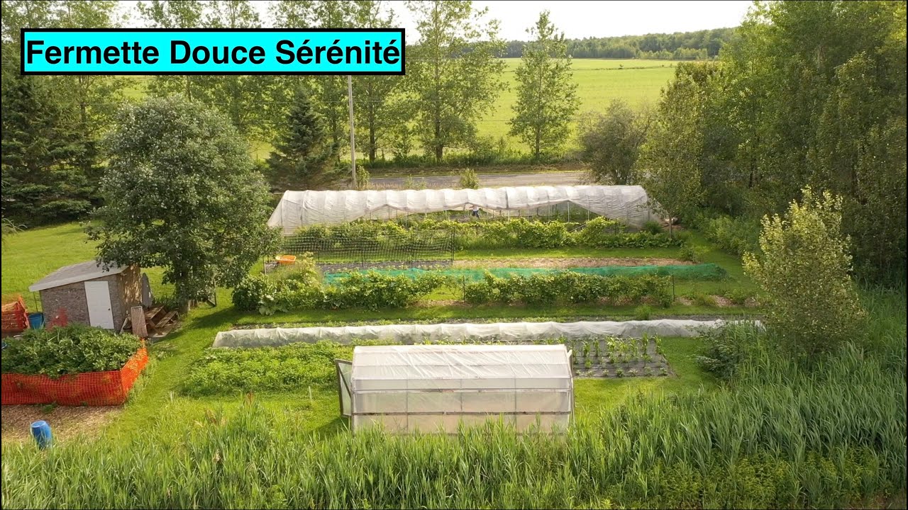 L'autosuffisance avec Douce Sérénité !