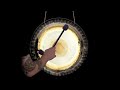 Tone of Life - 22" Dance Gong (#YLD110) | Gongs Unlimited