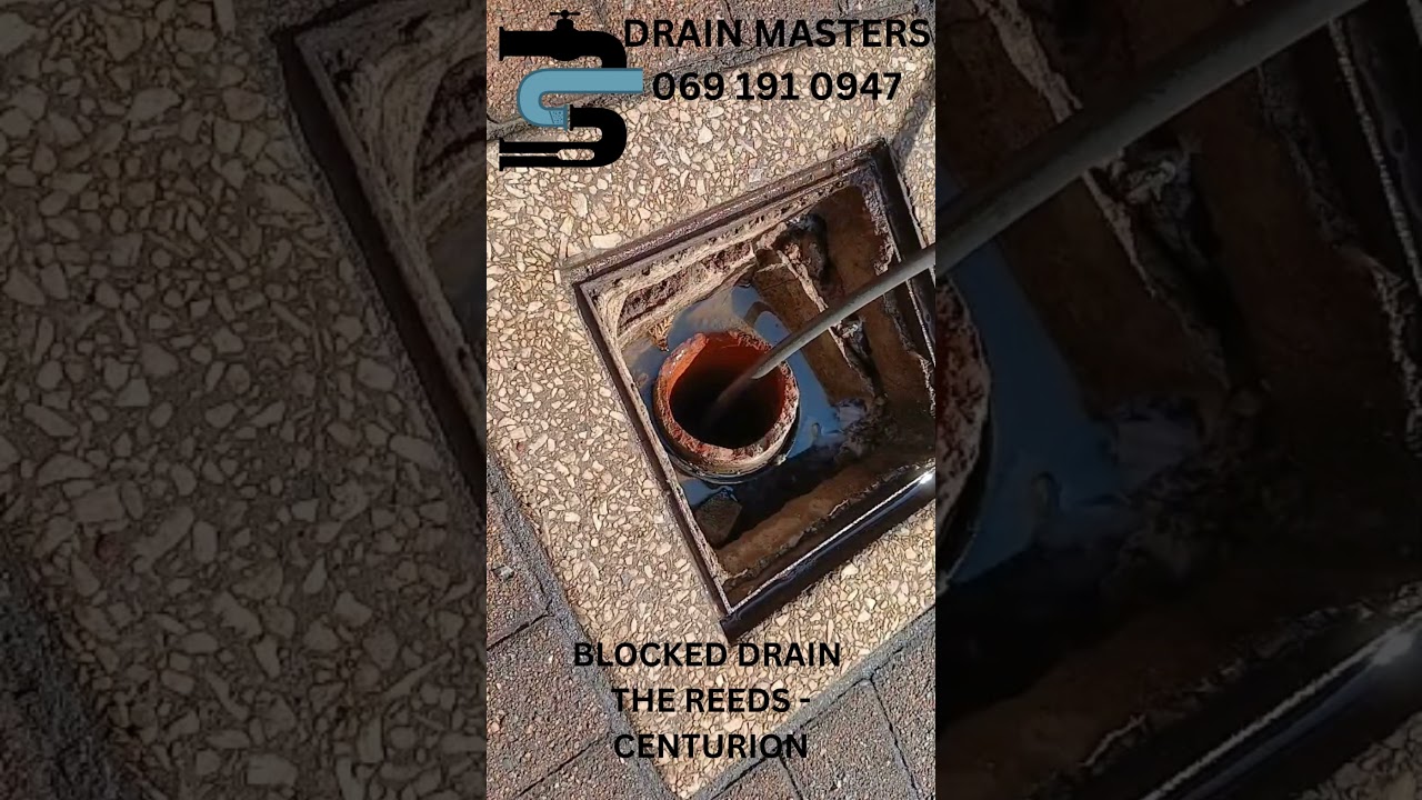 Drain Masters The Reeds 2026-01-26