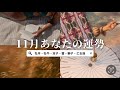 【１２星座前半】11月あなたの運勢を生リーディング🌕✨