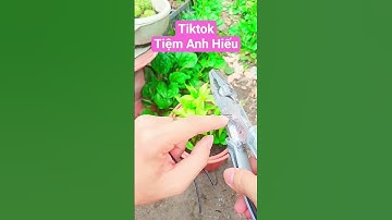 Kìm Cắt , Tuốt Dây điện siêu tiện 89k #tiemanhhieu #tiktok
