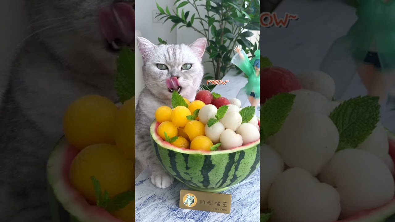 🍉Colorful ice bucket that is indispensable in summer🍉 #pets #foodtiktok  #Watermelon #Drinks#shorts