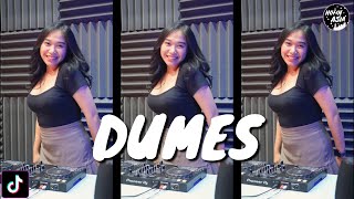 Nofin Asia - Dumes Remix | Ra Pengen Pengenku Siji Mung Kowe Kenyataane Dudu Aku Viral Tiktok