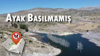 Burada Ki̇mse Yok Peki̇ Balik?