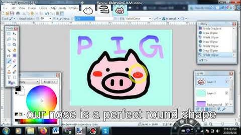 [Paint.NET Tutorial] #6 Tools (1/2)
