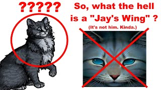 [OLD] So, what exactly is a "Jay's Wing"?