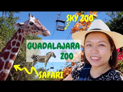 Guadalajara Zoo (Zoologico