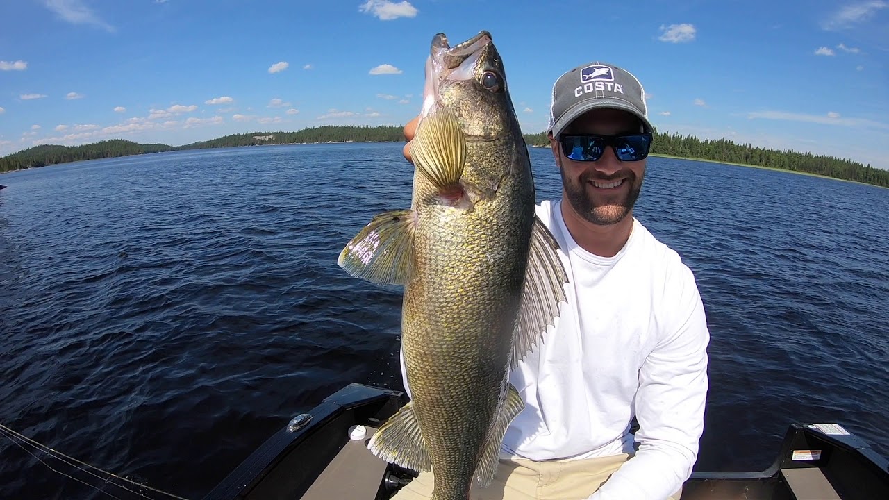 Big walleye fishing Québec Abitibi Target Baits YouTube