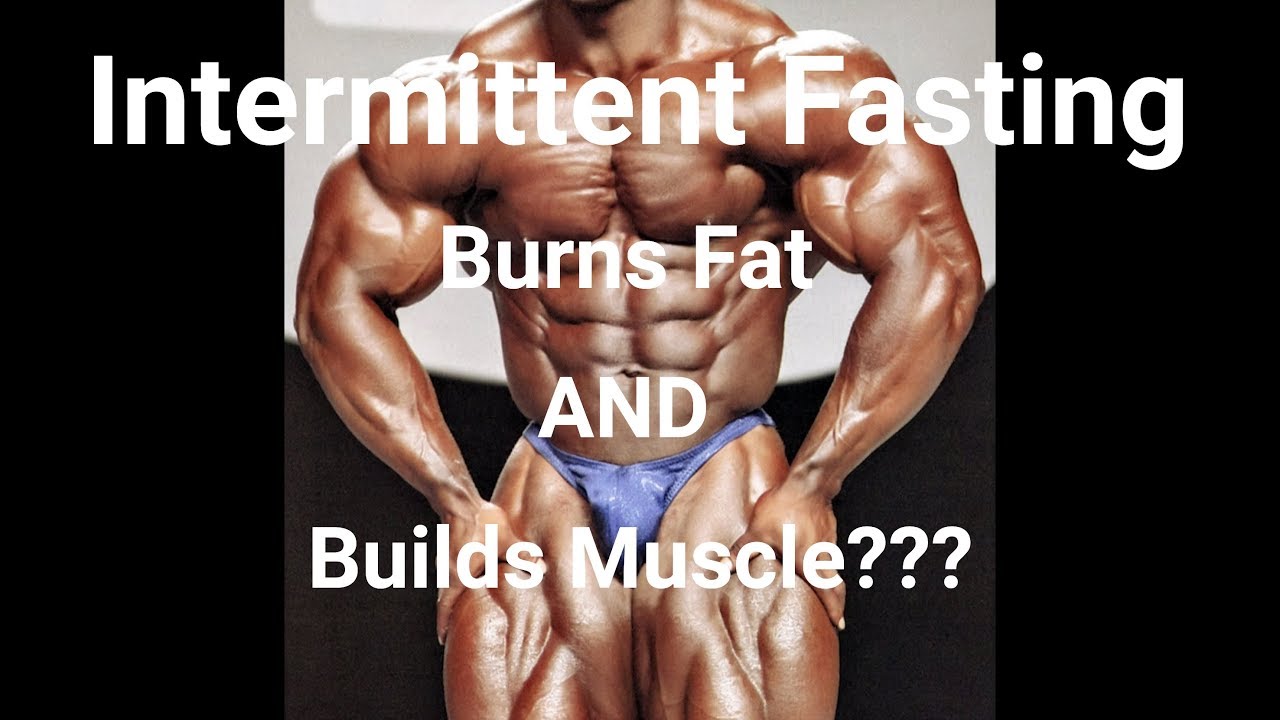 Intermittent Fasting Burns Fat AND Builds Muscle??? Pt.1 YouTube