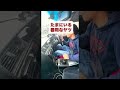 たまに居る器用なヤツ #shorts