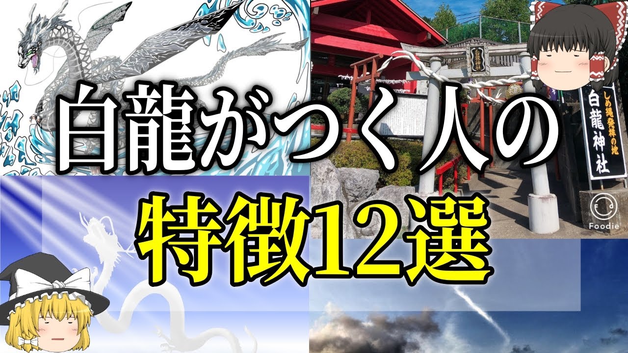 【ゆっくり解説】白龍がついている人の特徴１２選【スピ】