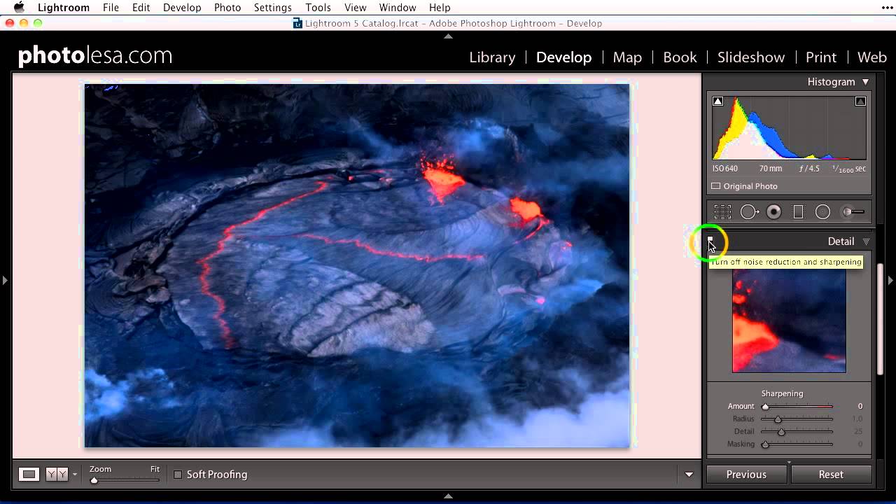 Managing Photo Noise in Lightroom with Lesa Snider