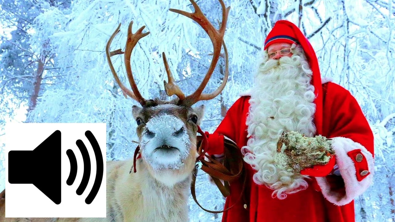 Reindeer grunting sound effect 🔊 | Christmas special 🎄