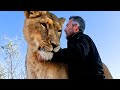 Love Bites | The Lion Whisperer