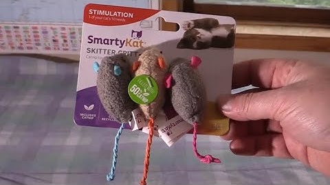 Smarty Kat Skitter Critters - Reviewed By Cats!