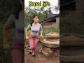 Daily Life In Rural China Village Life In China Shorts Agriculture Farming Youtubeshorts