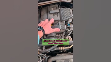 Can you Help Me? (Wrong Answers Only) #automobile #funny #car #cartok #wronganswersonly #shorts