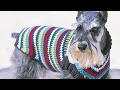 Crochet Easy Dog Coat Small to X-Large | EASY | The Crochet Crowd