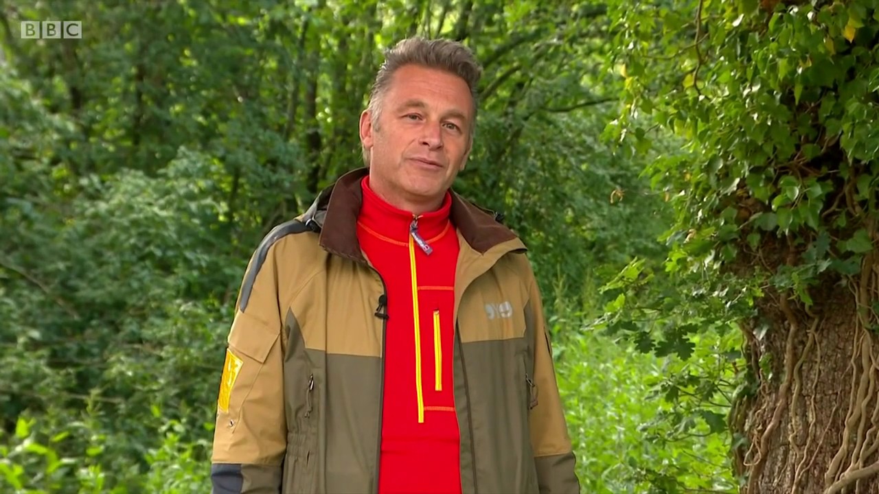 Springwatch 2020 Episode 12 - YouTube