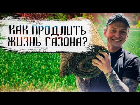Сколько лет живёт