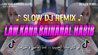 Law Kana Bainanal Habib - COVER DJ Slow REMIX VIRAL TIKTOK | Alfina Nindiyani | Bikin Hati Adem !!