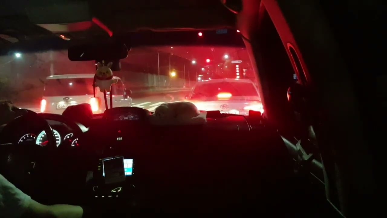 뉴렉스턴 야간주행영상