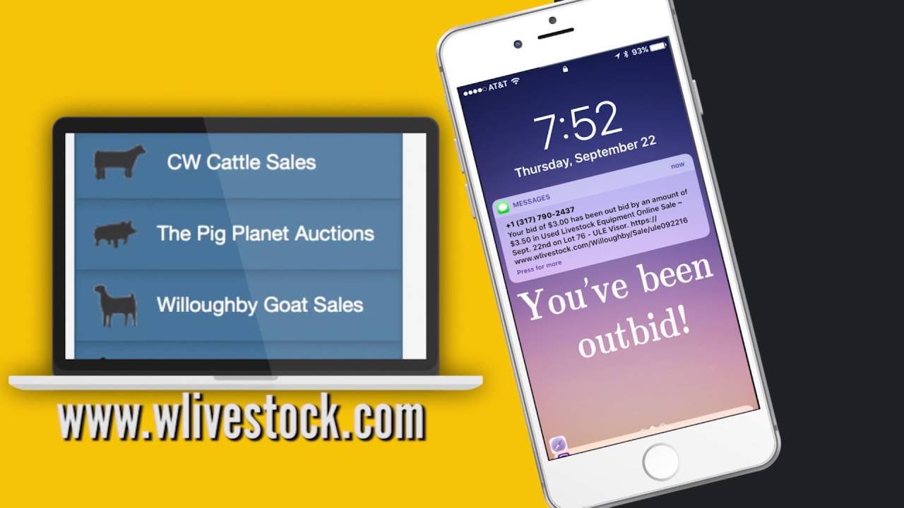 Premier Auction Platform at Willoughby Sales