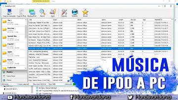 Come scaricare la musica da iPod a PC?
