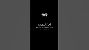 أفلا ينطرون إلى الأبل كيف خلقت شاشة سوداء | كرومات قرآن كريم بصوت #ماهر_المعيقلي | #سورة_الغاشية