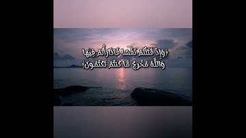 تلاوة خاشعة من سورة البقرة وإذا قال موسى لقومه إن الله يأمركم أن تذبحوا بقره ،،،سعيد الناعبي