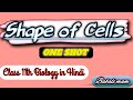 Cell :-Shape & Size of cell in Hindi, Smallest and largest cell by Babali mam Class 11th biology