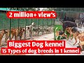 Biggest dog kennel || Dog kennel in india || dog farm in india