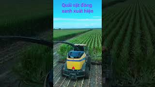 Quái vật nuốt chửng cánh đồng chỉ trong vài giờ #maynongnghiep #máynôngnghiệp #maycongtrinh  #bobita